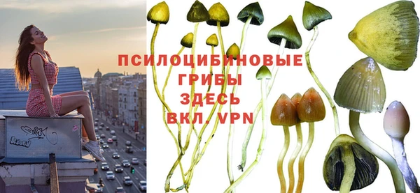 хмурый Майский